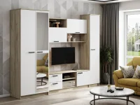 Гостиная Марта-12 дуб крафт серый/белый