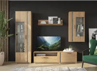 Гостиная Омега дуб крафт золотой/бетон