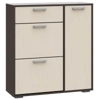 Обувница Дели №4 венге/дуб белфорт