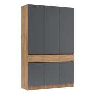 Шкаф 3-х створчатый Роджина дуб крафт/графит