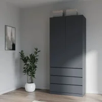 Шкаф с ящиками Мори МШ 900.2 графит