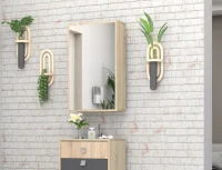 Зеркало ЗР-01 Монако-2 дуб сонома