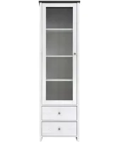 Витрина Порто REG1W2S джанни/сосна ларико