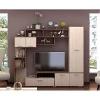 Гостиная Капри ясень шимо темный/шимо светлый