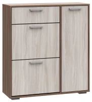 Обувница Дели №4 ясень шимо темный/ясень шимо светлый