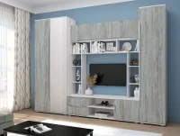 Гостиная Аванта анкор светлый/артвуд темный