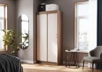 Шкаф-купе Андрей-Эконом (евро) ясень шимо темный/ясень шимо светлый