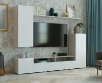 Гостиная Мия ясень анкор/белый глянец