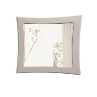 Зеркало Роберта