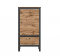 Тумба Лофт REG1D1S/60 дуб вотан/черный