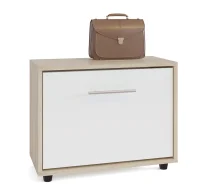 Тумба для обуви ТП-1 дуб сонома/белый