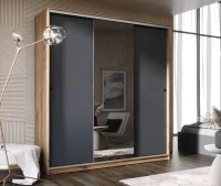 Шкаф-купе Альянс 2,0 дуб крафт/графит