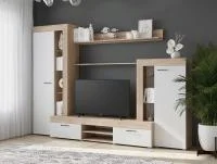 Гостиная Дельта дуб сонома/белый