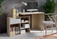 Стол письменный тип 10