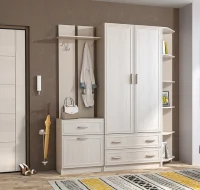 Модульная прихожая Иннэс-6 бодега (рамка)