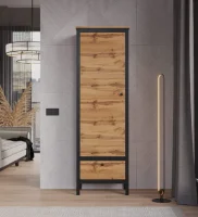 Шкаф Лофт REG1D1S дуб вотан/черный