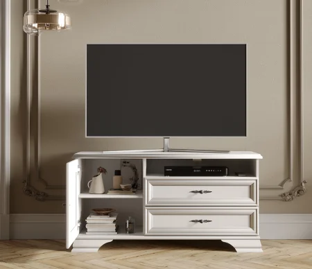 Тумба под телевизор Кентаки RTV 1D2S белый