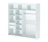 Шкаф-купе 1,7 арт. 007 белый