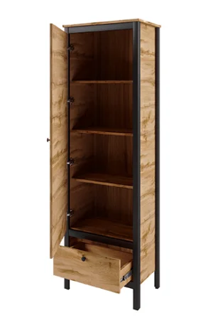 Шкаф Лофт REG1D1S дуб вотан/черный