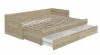 Кровать раздвижная Сириус 80х200 с ящиками дуб сонома