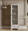 Шкаф-витрина Кентаки REG1W1S белый