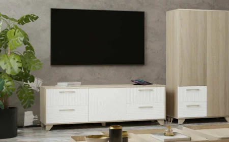 Тумба под ТВ со створкой Копенгаген дуб сонома/белый матовый