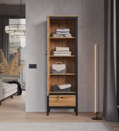 Шкаф Лофт REG1D1S дуб вотан/черный