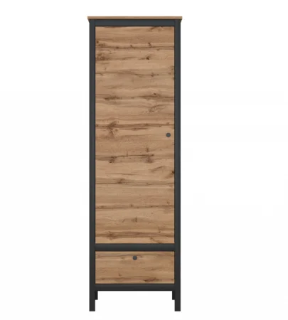 Шкаф Лофт REG1D1S дуб вотан/черный