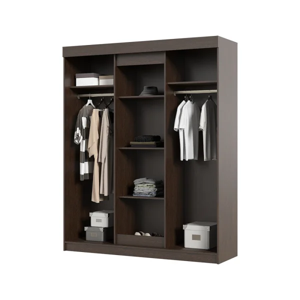 Шкаф-купе Андрей-Е (Фея) венге/дуб белфорт