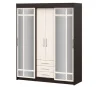 Шкаф-купе Фортуна венге/дуб белфорт