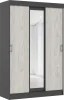 Шкаф-купе Басямиф графит/дуб крафт белый