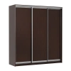 Шкаф-купе Мираж 20.2 венге