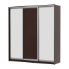 Шкаф-купе Мираж 20.1.1 венге